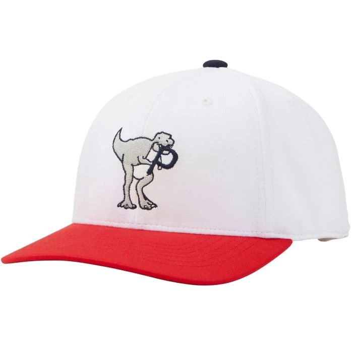 Puma Youth Dino-Mite P Snapback Golf Cap 1 Puma Youth Dino-Mite P Snapback Golf Cap