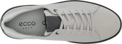 Ecco Men's Tray Golf Shoes -Wilson Shop EccoTray ConcreteBlack4