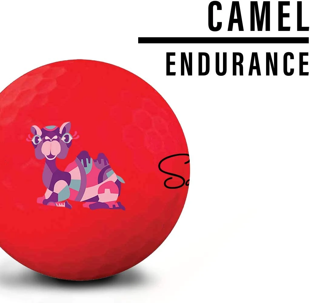 Saintnine Misty Premium Matte Golf Balls 6 Saintnine Misty Premium Matte Golf Balls - Image 6