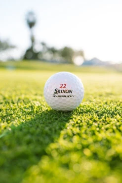 Srixon Z-Star XV Tour Divide Golf Balls 16 Srixon Z-Star XV Tour Divide Golf Balls -Wilson Shop Z STARXV8DIVIDE 1